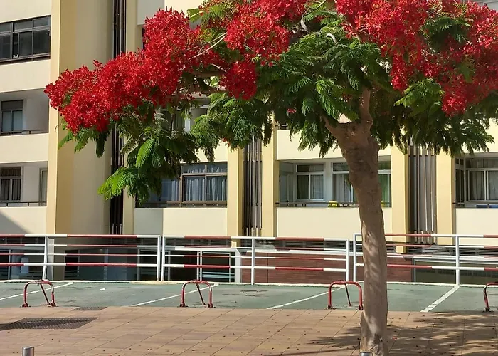 Tropical House Near Beach&Yumbo