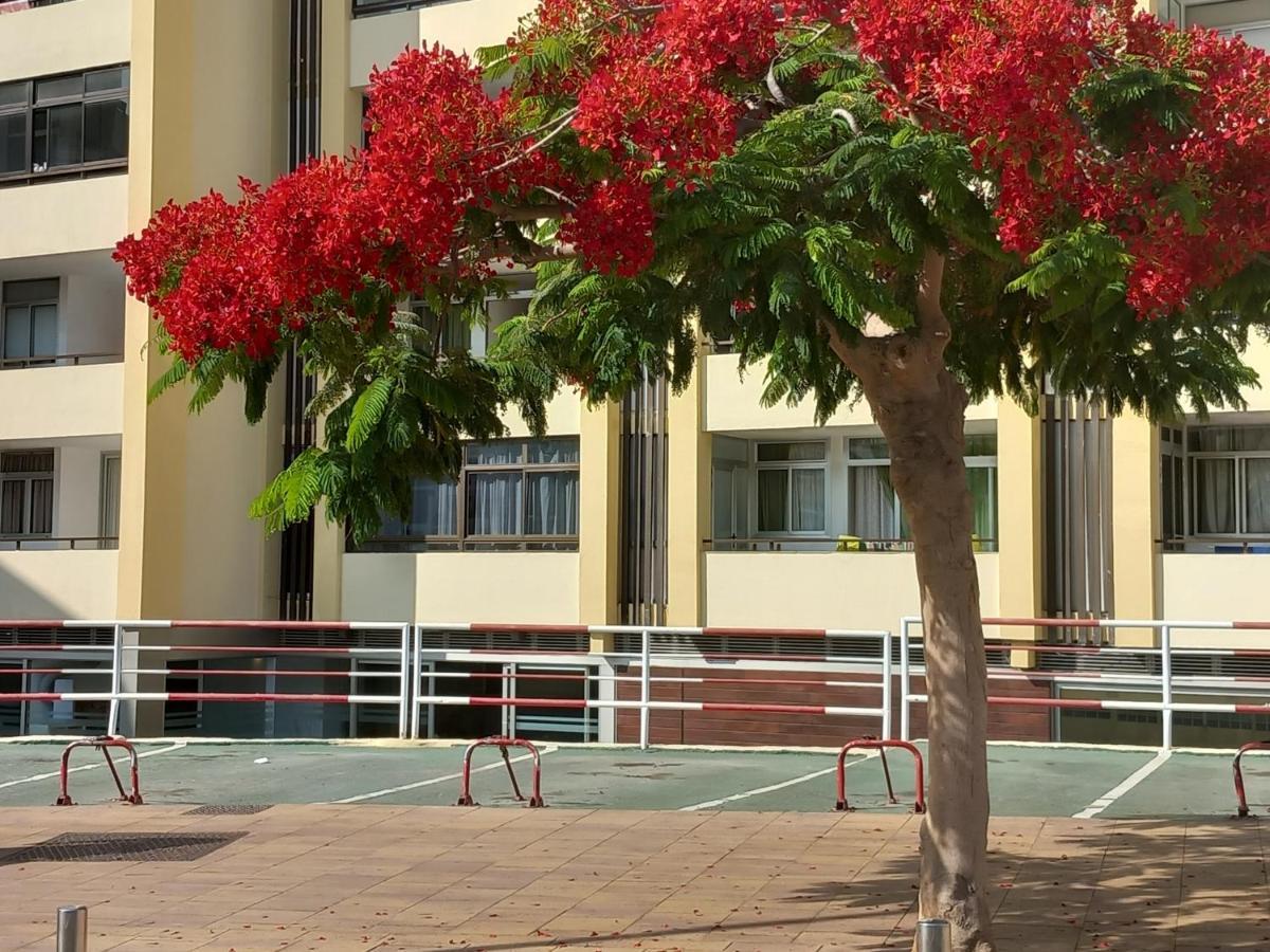 Tropical House Near Beach&yumbo Appartement San Bartolomé